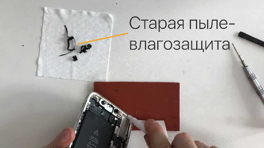 Замена пыле-влагозащиты на iPhone 11