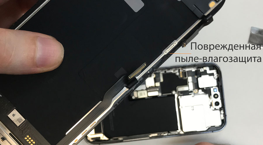 Замена пыле-влагозащиты на iPhone 14 Pro
