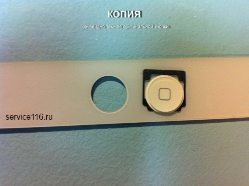 copy_s_orig_knopkoj2