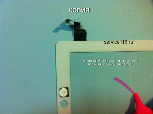 test_copy_
