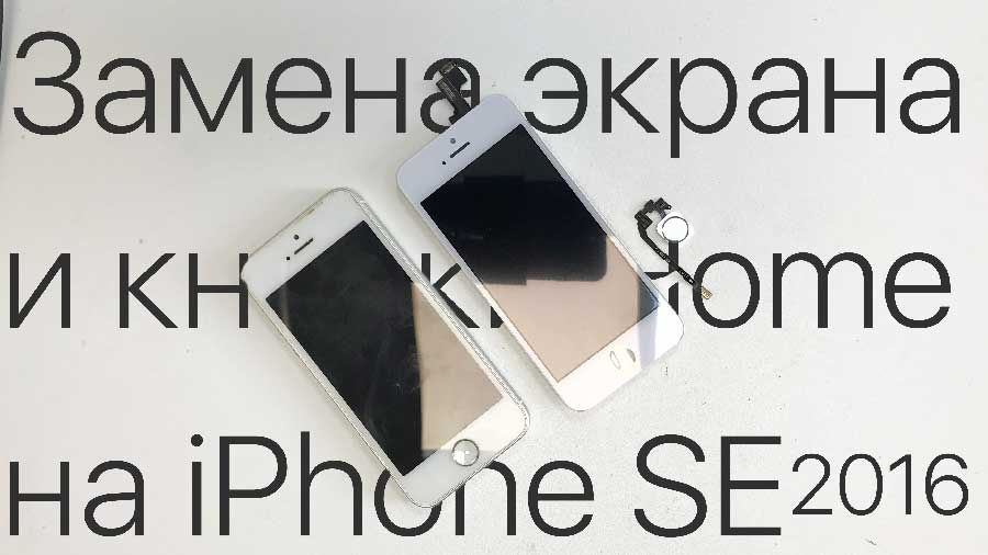 Замена экрана и кнопки Home на iPhone SE 2016 в Казани